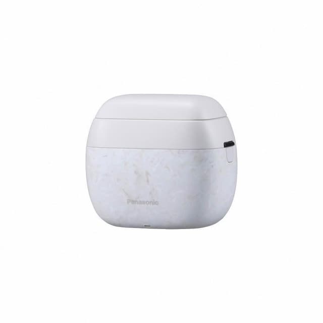 【Panasonic 國際牌】日製旗艦掌上型五枚刃電鬍刀ES-PV6A-W