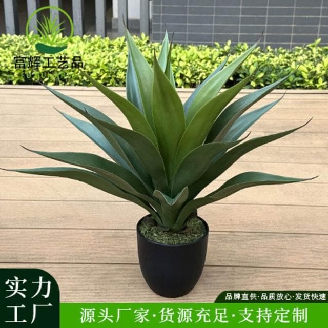 百信百貨 免運 仿真綠植皇冠蘭盆栽花卉盆景擺件假植物劍麻高端室內假龍舌蘭