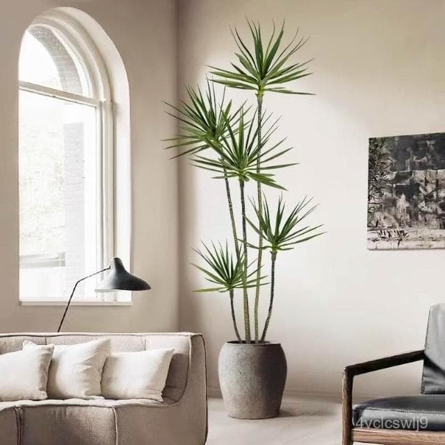 紅鐵樹盆栽仿真綠植 高端輕奢大型假植物室內沙髮邊擺件落地裝飾 假植物落地擺件居傢裝飾 仿真植物 人造植