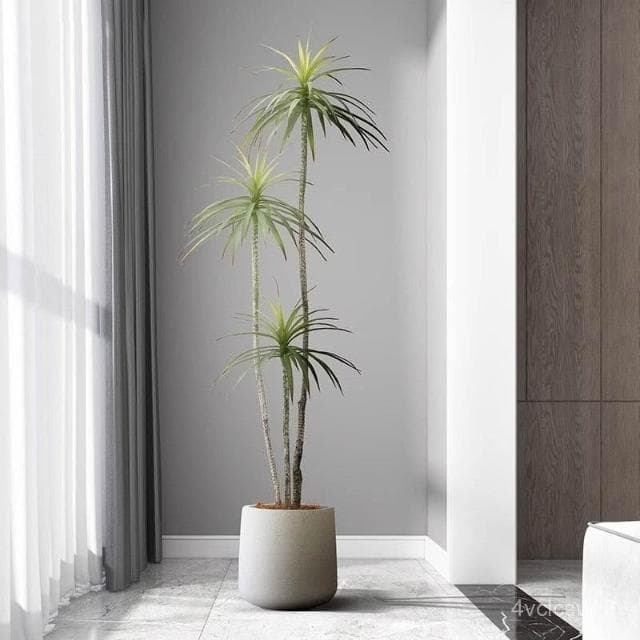 紅鐵樹盆栽仿真綠植 高端輕奢大型假植物室內沙髮邊擺件落地裝飾 假植物落地擺件居傢裝飾 仿真植物 人造植