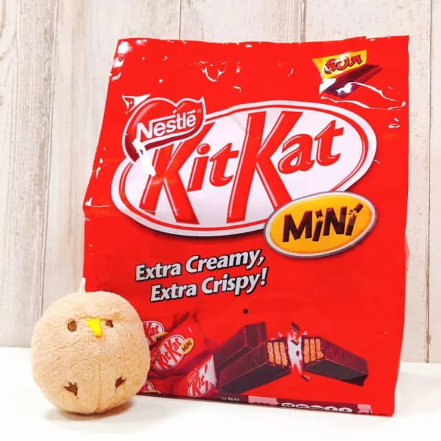 【Nestle 雀巢】奇巧  KitKat Mini 巧克力威化餅 16.7公克 60條 (德國 威化餅 巧克力 可可 家庭包)