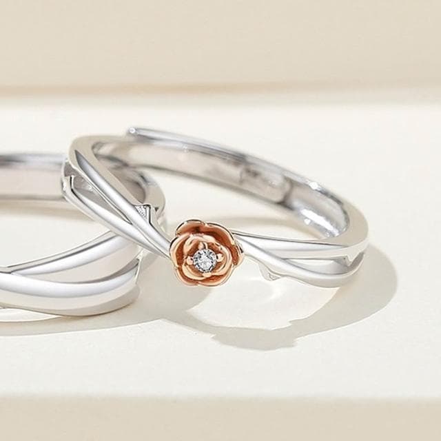 【巴黎精品】現貨+預購 頂級925純銀戒指婚戒女鑽戒開口戒情侶對戒尾戒情人節禮物-小王子男女飾品a1li24