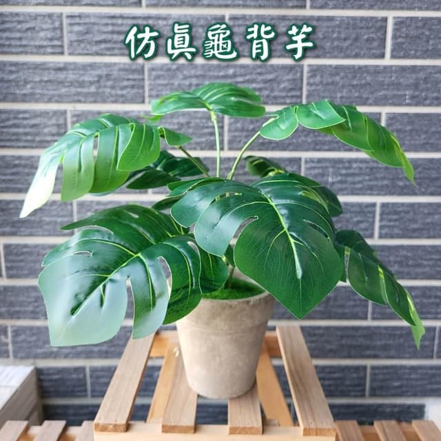 仿真植物 龜背芋 仿真盆栽 室內盆栽 室內植物 假植物 龜背葉 人造植物 仿真花盆栽 中