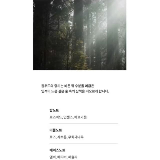 【GRAFEN】韓國 GRAFEN Tattoo 紋身香水 50ml - Onewood