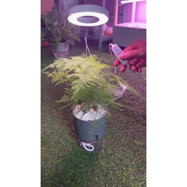 【LADUTA 拉布塔】植物燈 植物生長燈 USB植物燈 多肉植物燈 室內補光燈 全光譜 盆栽 定時 調光 伸縮 辦公室植物 wntsh001