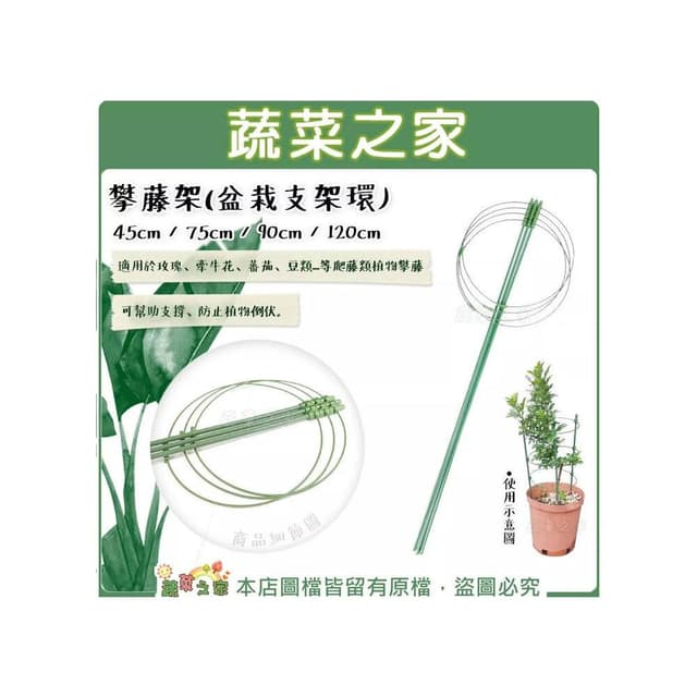 【蔬菜之家】攀藤架盆栽支架環45-75-90-120公分共4種尺寸 爬藤架 瓜架 植物架 植物支架 支撐