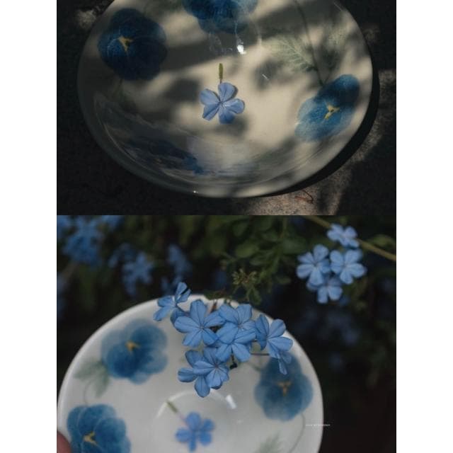 sayone三色堇貓咪陶瓷餐具釉下彩繪手作正方盤碗碟喬遷禮情人禮物