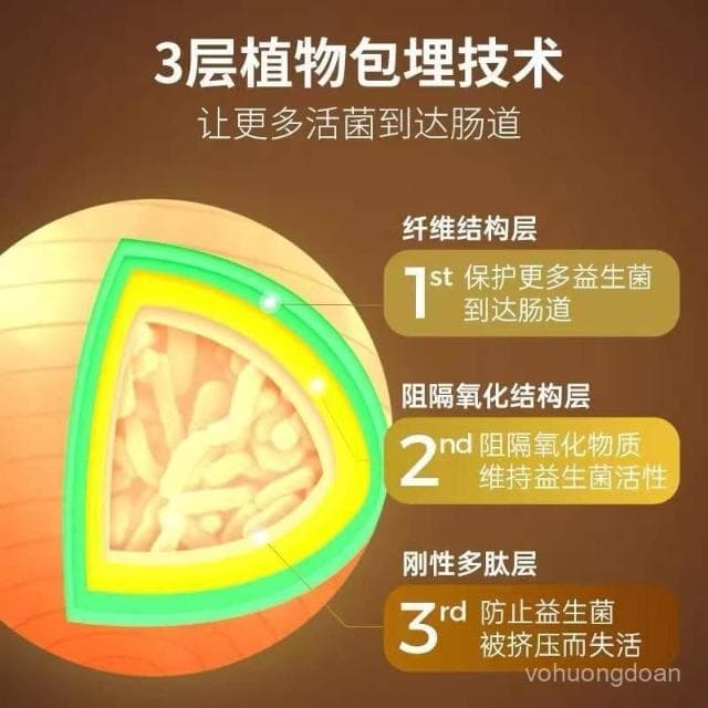 心心相印 汀納益生菌純黑巧克力無蔗糖0糖黑巧真可可脂零食禮物禮盒裝120克
