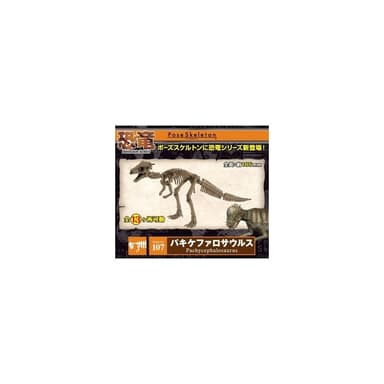 大旺小舖:日本正版Re-Ment食玩骨頭人骨頭恐龍厚頭龍 No.107科學教具搭配黏土人生日結婚母親節情人節聖誕交換禮物