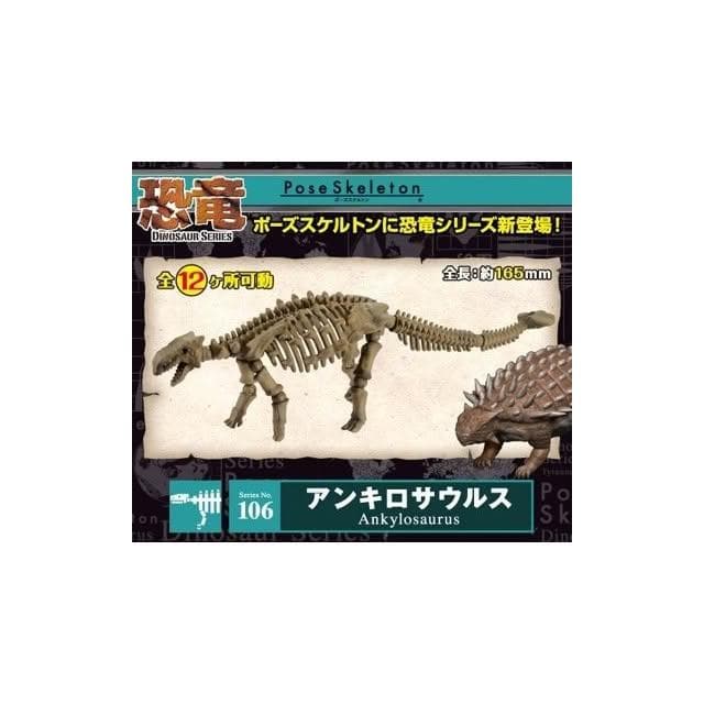 大旺小舖:Re-Ment食玩骨頭人骨頭恐龍甲龍日本正版科學教具可搭配黏土人 生日結婚母親節情人節聖誕交換禮物 實體店面