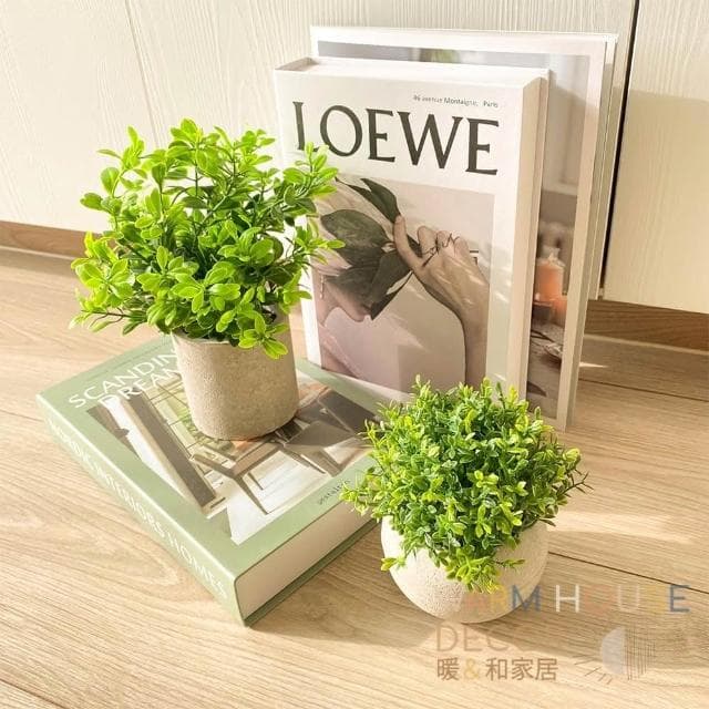 【Warm House Decor 暖和家居】北歐綠化仿真植物 （小盆栽 桌面小盆栽 假植物 盆栽 辦公室綠化 仿真植物)