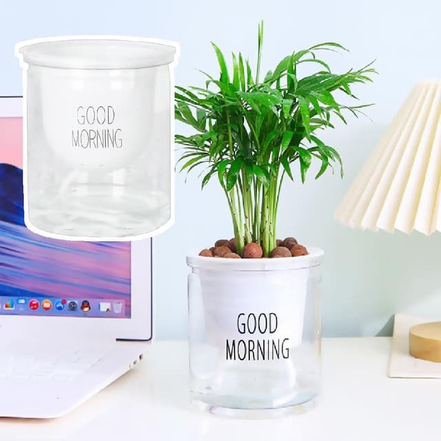 【蕉蕉購物】簡約無印風透明自動吸水花盆懶人盆栽 塑膠盆 植物花盆 水耕植物 擺飾 水盤 辦公室