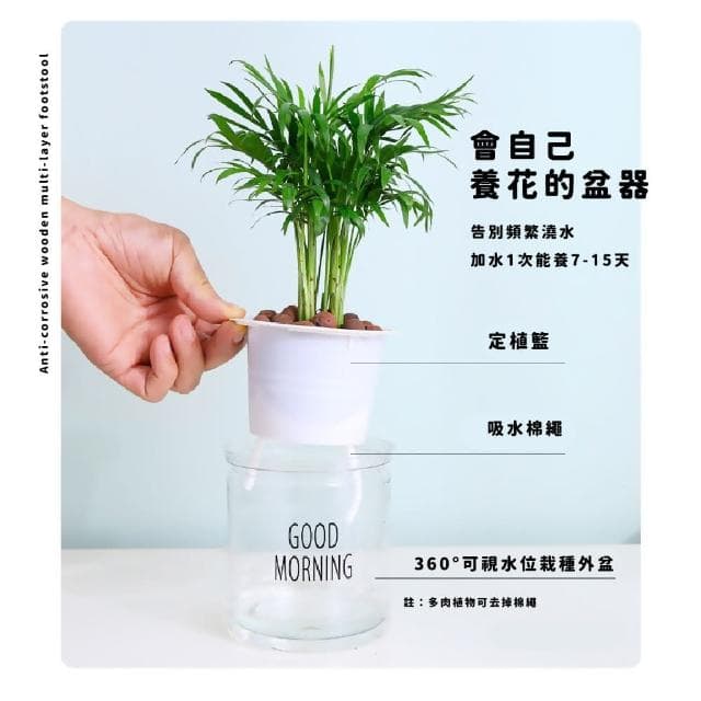 【蕉蕉購物】簡約無印風透明自動吸水花盆懶人盆栽 塑膠盆 植物花盆 水耕植物 擺飾 水盤 辦公室