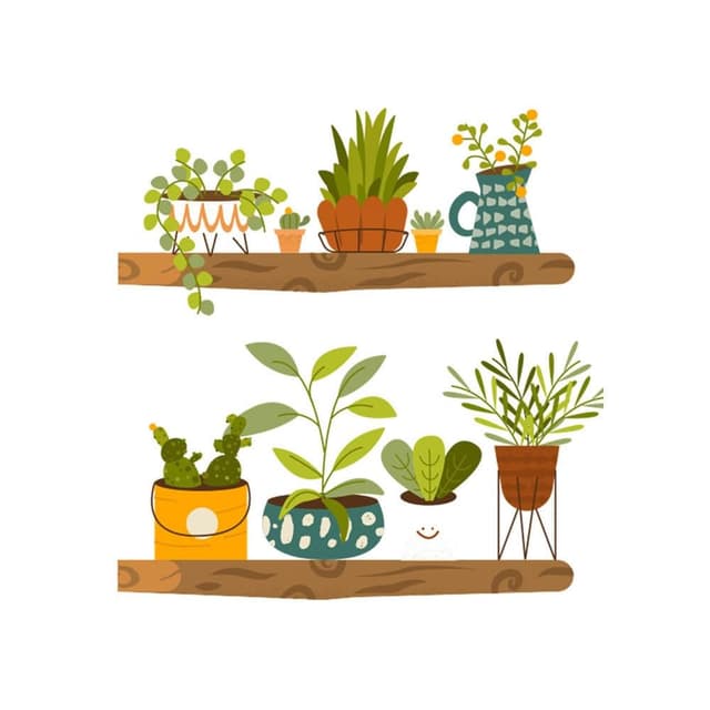 盆栽植物 拼貼 創意牆貼 牆面美化 裝飾貼 牆面裝飾貼(牆貼 創意璧貼 壁貼紙)