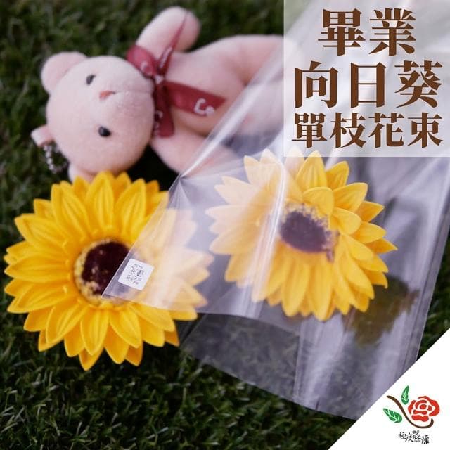 【極度花燥】單枝畢業花束花禮  畢業典禮 畢業送禮 端午節