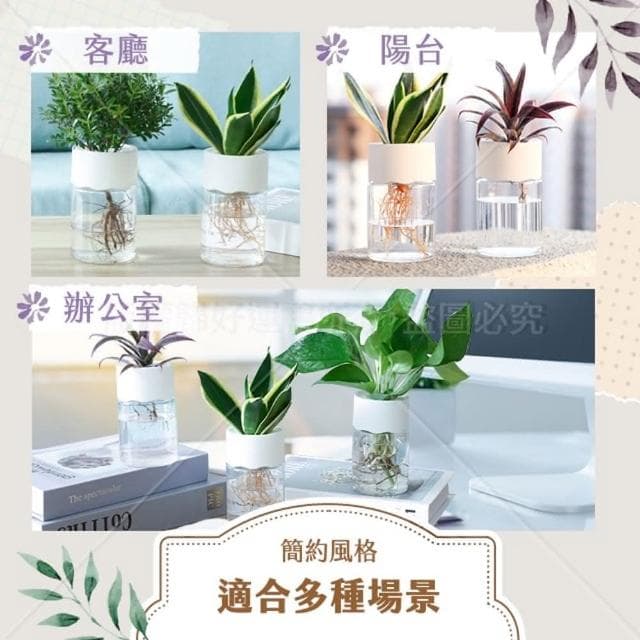 水培花盆 水培盆栽 懶人花盆 水耕盆栽 辦公室植物 水耕瓶 水耕花器 水培瓶 水培植物 水培花器 花水培花盆