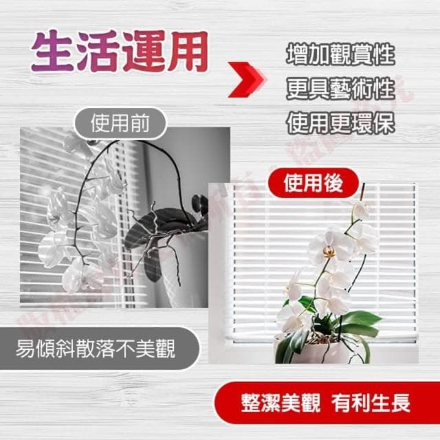 植物支架 17cm 植物支撐 植物支撐桿 盆栽支撐架 盆栽支架 爬藤支架 花盆支架 蘭花支架 園藝支架 蝴蝶蘭植物支撐桿
