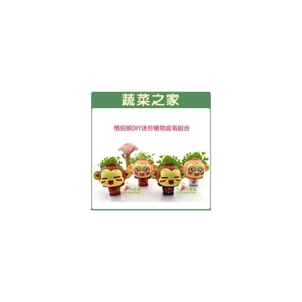 【蔬菜之家】情侶猴DIY迷你植物盆栽組合