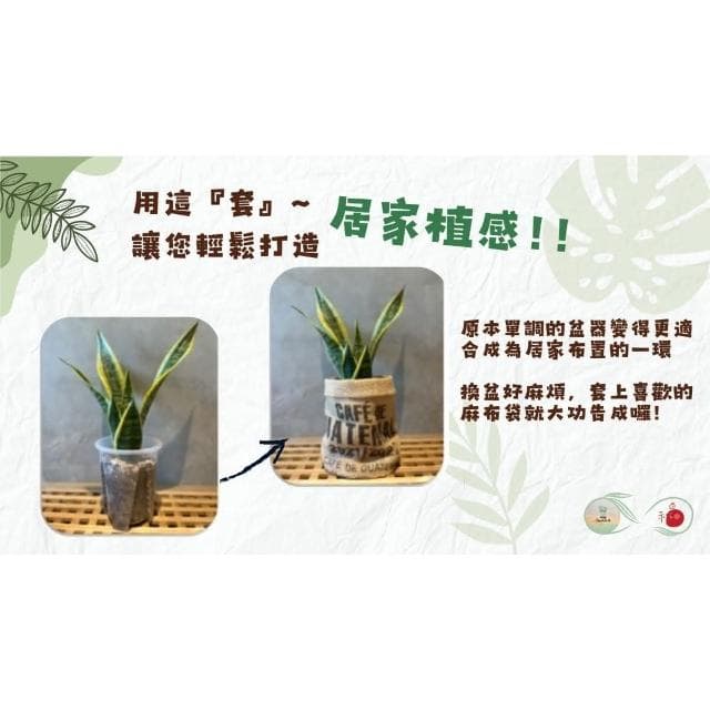 《斑啾植選》植栽盆套(中)｜咖啡豆麻布袋｜環保再生｜盆栽裝飾｜多肉植物｜觀葉植物
