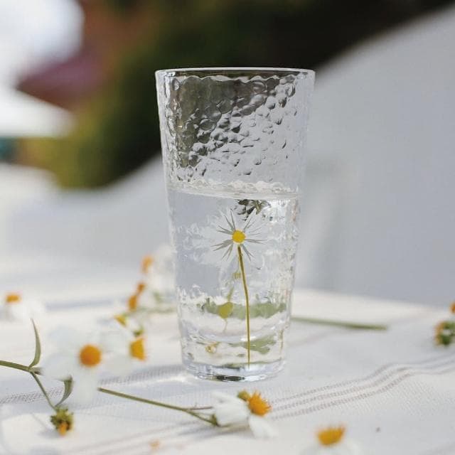 【MYUMYU 沐慕家居】手繪小雛菊圓形 玻璃杯水杯 情侶杯 果汁杯 餐廳杯子 小花朵玻璃杯