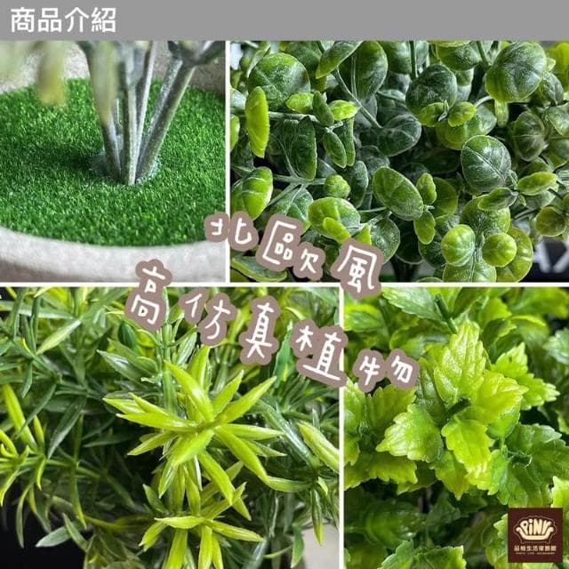 【PiNYU 品柚生活傢飾館】仿水泥假盆栽(北歐風仿水泥盆仿真植物仿真綠植物 綠化盆栽 小盆栽尤加利室內盆栽)