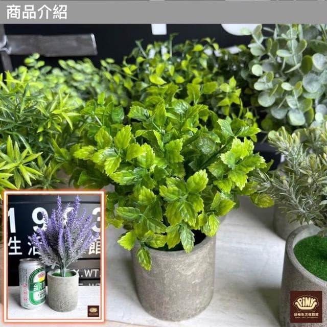 【PiNYU 品柚生活傢飾館】仿水泥假盆栽(北歐風仿水泥盆仿真植物仿真綠植物 綠化盆栽 小盆栽尤加利室內盆栽)
