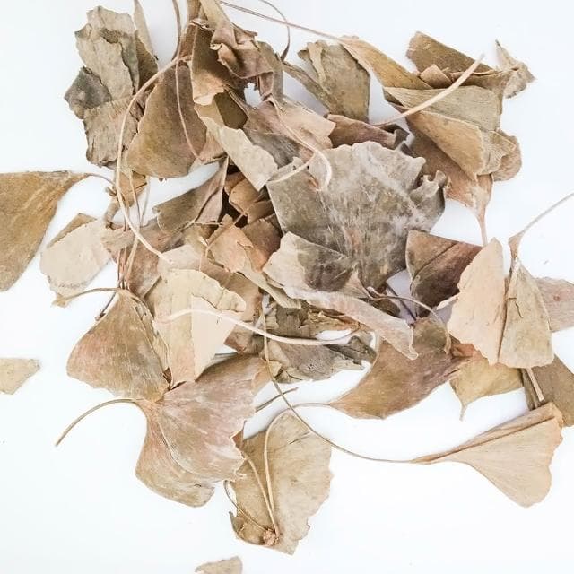 【日生元】銀杏茶 白果茶  600g