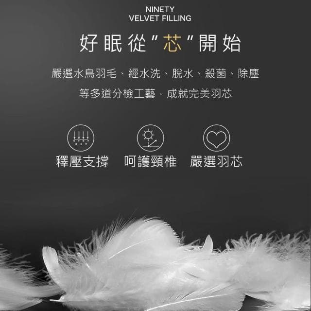 【紳娜多家居】MIT頂級飯店 羽絨100%純羽毛絨被 可乾洗 暖被 飯店棉被 羽絨棉被 羽絨被 棉被 冬被 被子