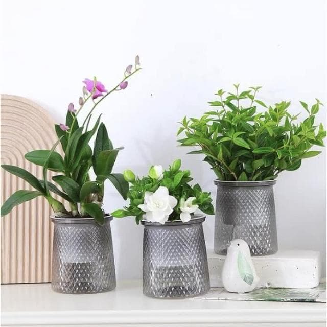 【欣榮園藝資材行】造型 水培花盆 早安花盆 吸水花盆 繁星花盆 水培花盆 水耕植物盆 水培盆 水耕盆栽 懶人花盆