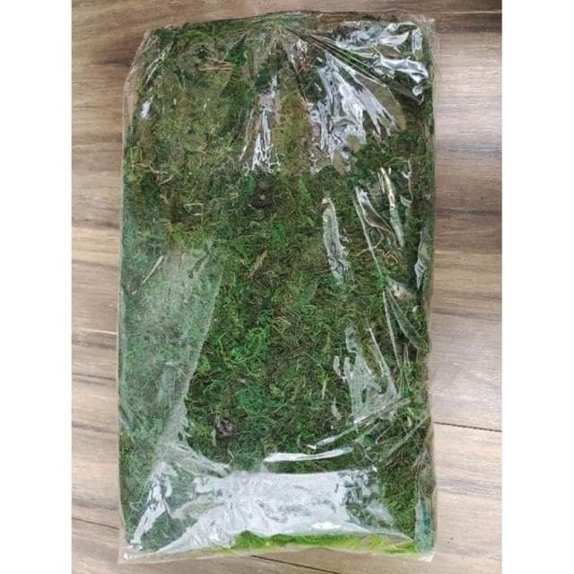 《大欣園藝》全館799免運_綠水苔一公斤(綠水苔 綠水草 蘭花 苔球植物 盆栽鋪面 綠水草 蘭花園藝裝飾草 多肉 組盆裝飾 青苔)