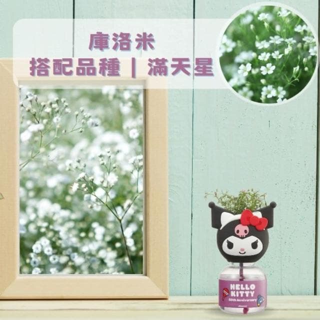 【Green Pandora】Hello kitty 療癒植物瓶  盲盒凱蒂貓 大耳狗 庫洛米   桌上盆栽