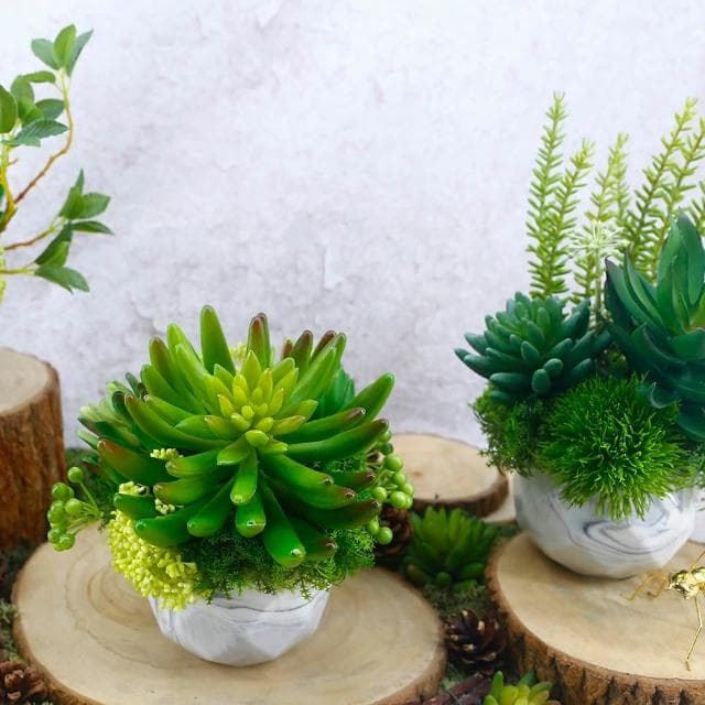 【HUGO DECO 榆果傢飾】手指蓮多肉香氛植栽(擬真植物/人造盆栽/綠化/佈置/禮物)