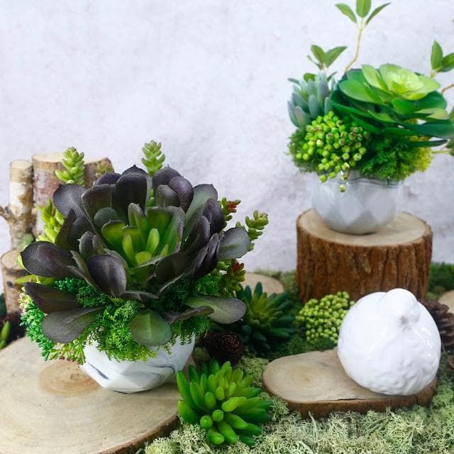 【HUGO DECO 榆果傢飾】黑法師多肉香氛盆栽(擬真植物/人造盆栽/綠化/佈置/禮物)