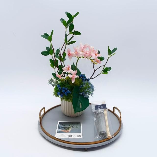 【HUGO DECO 榆果傢飾】雅緻粉蝴蝶蘭榕枝香氛花禮(擬真植物/人造盆栽/綠化/佈置/禮物)