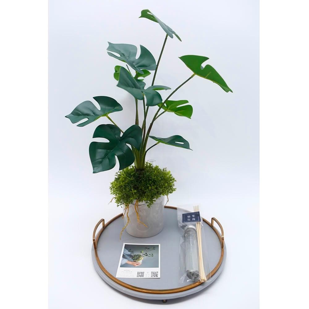 【HUGO DECO 榆果傢飾】擬真龜背芋 電信蘭香氛植栽 高款(擬真植物/人造盆栽/綠化/佈置/禮物)