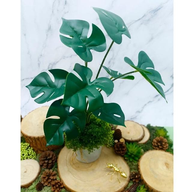 【HUGO DECO 榆果傢飾】擬真龜背芋 電信蘭香氛植栽 高款(擬真植物/人造盆栽/綠化/佈置/禮物)