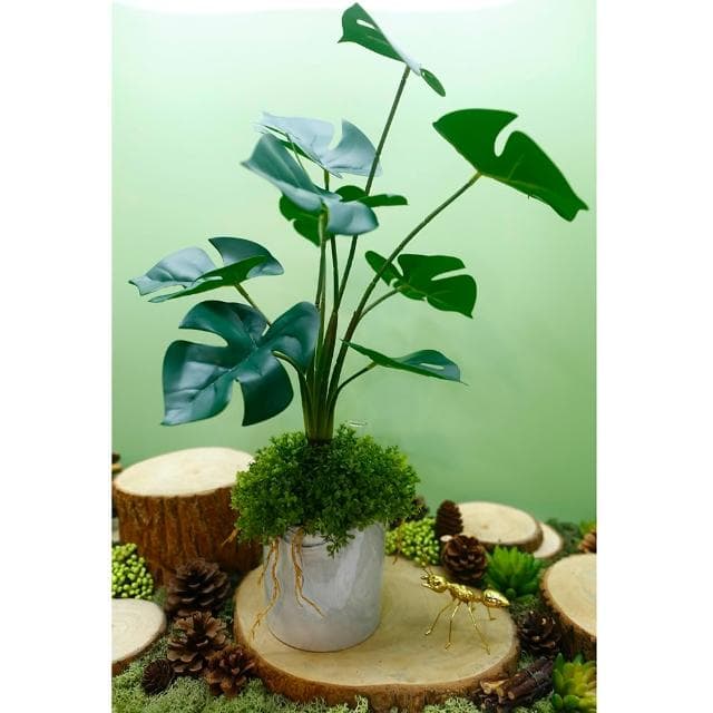 【HUGO DECO 榆果傢飾】擬真龜背芋 電信蘭香氛植栽 高款(擬真植物/人造盆栽/綠化/佈置/禮物)