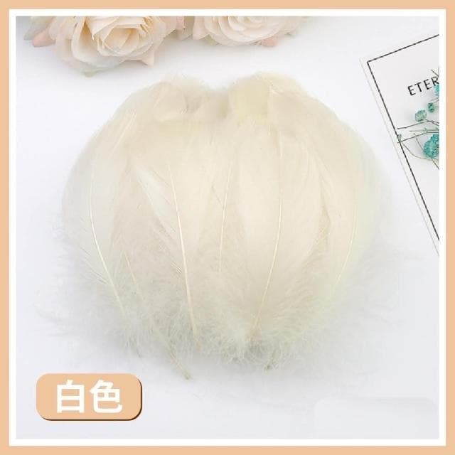 12H快速出貨 (氣球快易送)  約100根 羽毛 透明波波球 告白氣球 透明氣球 波波球 網美打卡 慶生 生日禮物 派對小物