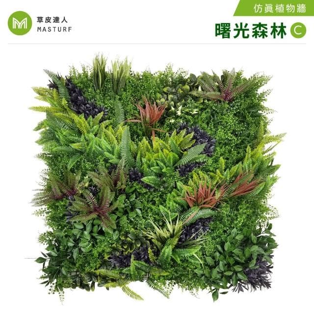 草皮達人 曙光森林-C款 5片裝 超大片裝 仿真植物牆(仿真植生牆 人造植栽牆 人工綠籬 網美牆 室內綠化)