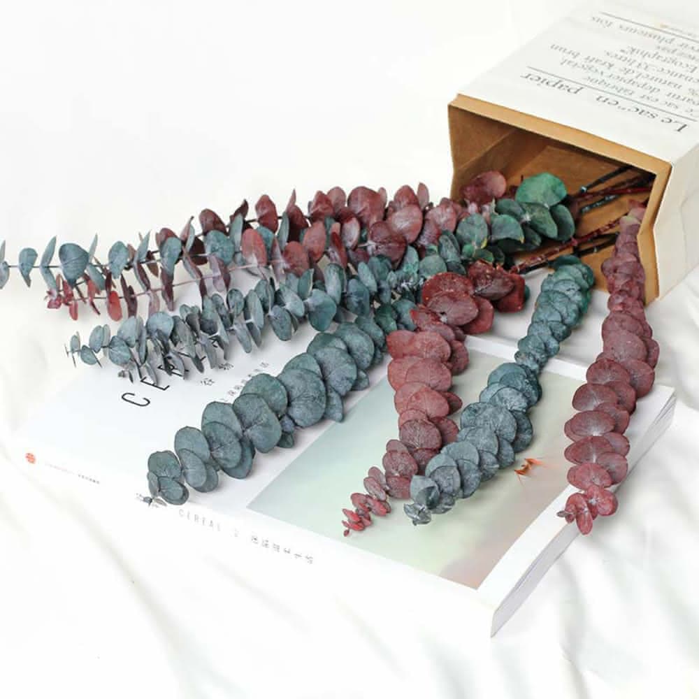 【BlueCat】天然乾燥尤加利葉(乾花 乾燥花 天然植物 景觀植栽 花材裝飾 居家佈置 園藝花藝)