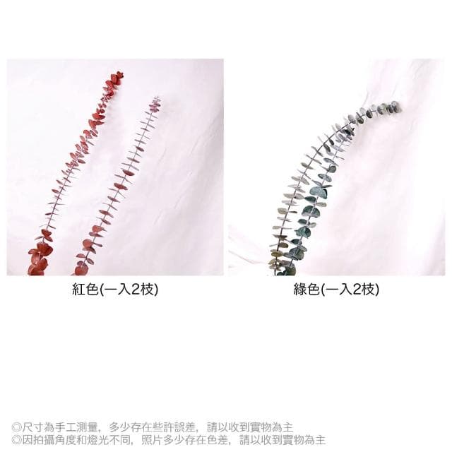 【BlueCat】天然乾燥尤加利葉(乾花 乾燥花 天然植物 景觀植栽 花材裝飾 居家佈置 園藝花藝)