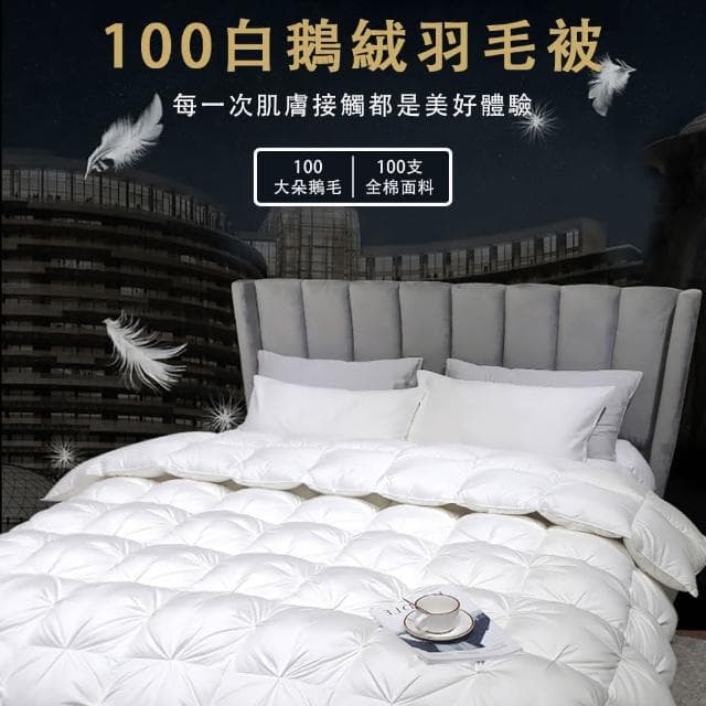 大朵鵝絨被 加大雙人被 家用羽絨被芯 白鵝絨被芯 羽毛絨被 匈牙利A類冬被 保暖被芯 100支全棉面料 180X220cm 灰色