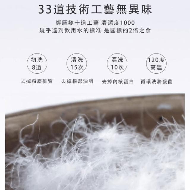 大朵鵝絨被 加大雙人被 家用羽絨被芯 白鵝絨被芯 羽毛絨被 匈牙利A類冬被 保暖被芯 100支全棉面料 180X220cm 灰色