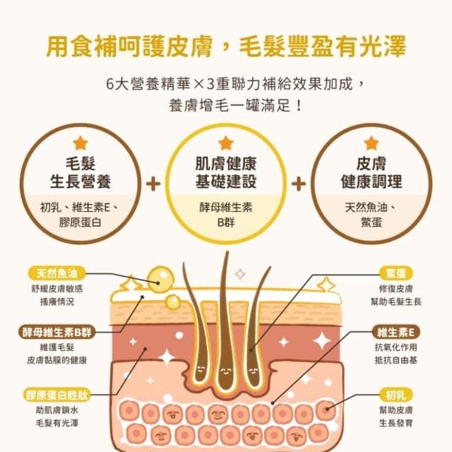 【汪喵星球】亮毛護膚鱉蛋粉 60G(護膚 亮毛 皮毛保健 貓咪保健品 貓咪保養品)