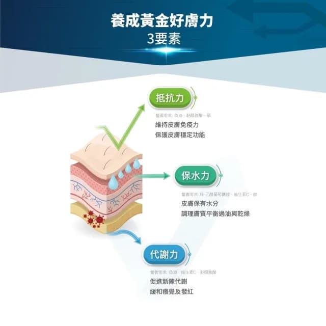 【MORESON 木入森】貓咪護膚保養 25包/盒 膚立好(皮毛保健 護膚亮毛 貓咪保健品 貓咪保養品)