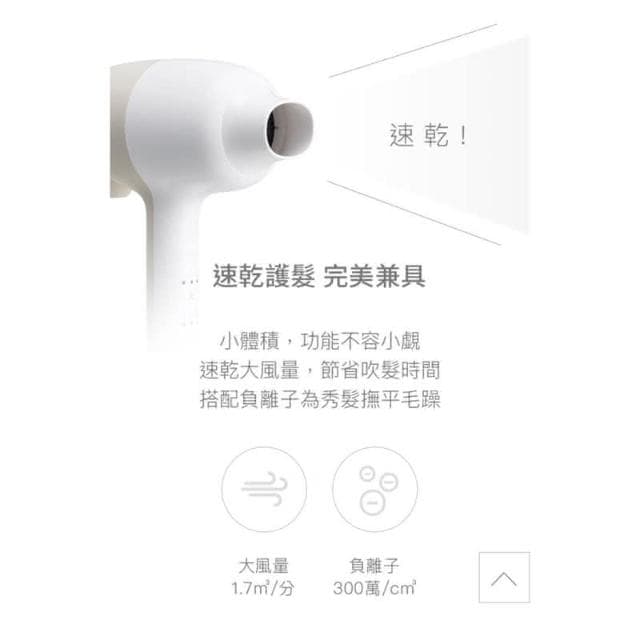 正負零XCD-D020 吹風機 國際電壓