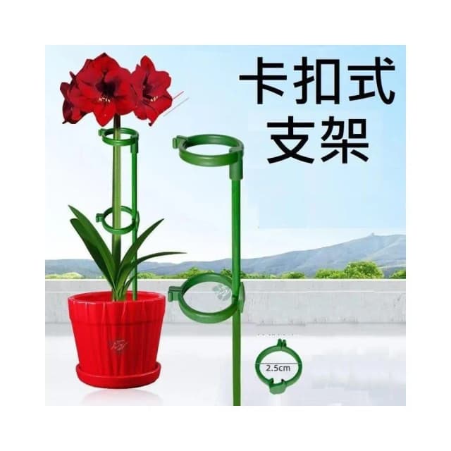 卡扣式支架 植物支架 蘭花夾 植物支撐架 盆栽支架 爬藤支架 花盆支撐架 葉架
