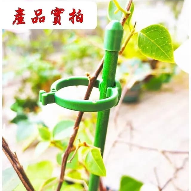 卡扣式支架 植物支架 蘭花夾 植物支撐架 盆栽支架 爬藤支架 花盆支撐架 葉架