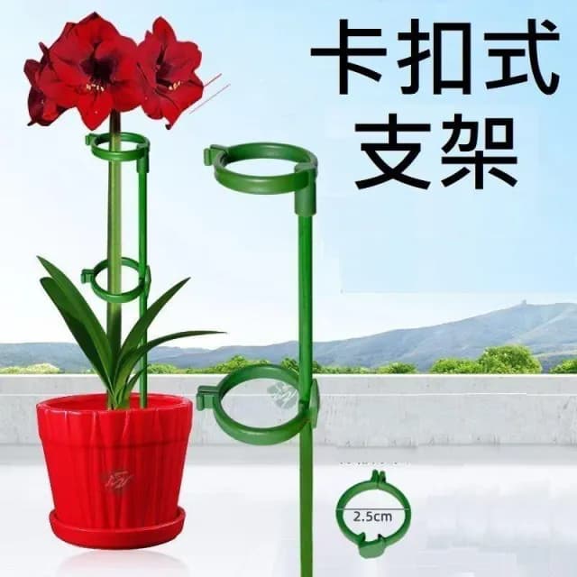 卡扣式支架 植物支架 蘭花夾 植物支撐架 盆栽支架 爬藤支架 花盆支撐架 葉架