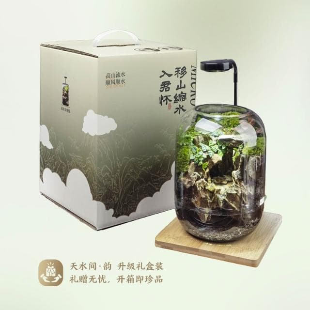 免運 青苔盆栽 盆栽 蘚微景觀生態瓶 辦公室盆栽 內桌面養魚綠植盆栽 造景觀植物盆栽 花盆